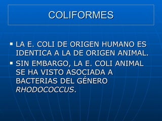 COLIFORMES LA E. COLI DE ORIGEN HUMANO ES IDENTICA A LA DE ORIGEN ANIMAL. SIN EMBARGO, LA E. COLI ANIMAL SE HA VISTO ASOCIADA A BACTERIAS DEL GÉNERO  RHODOCOCCUS . 