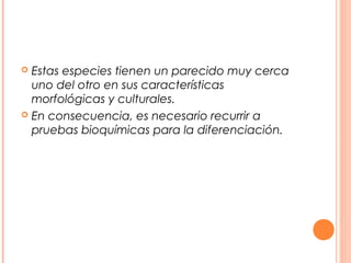  Estas especies tienen un parecido muy cerca 
uno del otro en sus características 
morfológicas y culturales. 
 En consecuencia, es necesario recurrir a 
pruebas bioquímicas para la diferenciación. 
 
