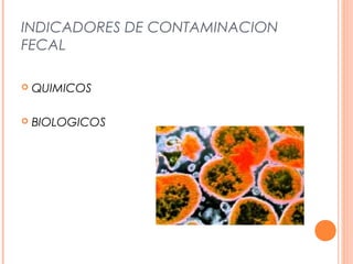 INDICADORES DE CONTAMINACION 
FECAL 
 QUIMICOS 
 BIOLOGICOS 
 