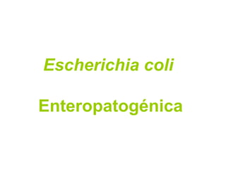Escherichia coli

Enteropatogénica
 