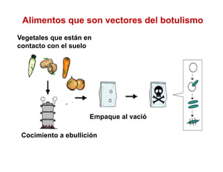 Alimentos que son vectores del botulismo
Vegetales que están en
contacto con el suelo




                     Empaque al vació

 Cocimiento a ebullición
 