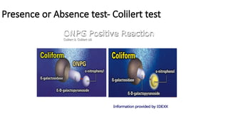 Coliforms tests in drinking water supply.pptx