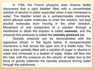 In 1784, the French physicist Jean Antoine Nollet
discovered that a pig's bladder filled with a concentrated
solution of alcohol in water expanded when it was immersed in
water. The bladder acted as a semipermeable membrane,
which allowed water molecules to enter the solution, but kept
alcohol molecules from moving in the other direction.
Movement of one component of a solution through a
membrane to dilute the solution is called osmosis, and the
pressure this produces is called the osmotic pressure ().
Osmotic pressure can be demonstrated with the
apparatus shown in the figure below. A semipermeable
membrane is tied across the open end of a thistle tube. The
tube is then partially filled with a solution of sugar or alcohol in
water and immersed in a beaker of water. Water will flow into
the tube until the pressure on the column of water due to the
force of gravity balances the osmotic pressure driving water
through the membrane.
 