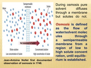 Jean-Antoine Nollet first documented
observation of osmosis in 1748.
During osmosis pure
solvent diffuses
through a membrane
but solutes do not.
Osmosis is defined
as the flow of
water/solvent molec
ules through
a semipermeable
membrane from a
region of low to
high solute concent
ration, until equilib-
rium is established.
 