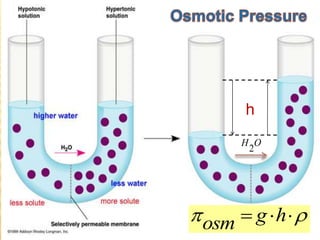 h

 

 h
g
оsm
O
H
2
 