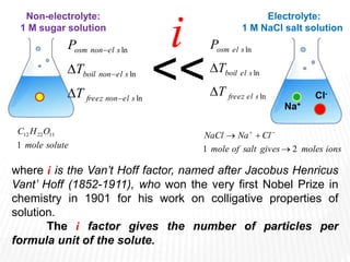 Non-electrolyte:
1 М sugar solution
Electrolyte:
1 М NaCl salt solution
solute
mole
О
Н
С
1
11
22
12
ions
moles
gives
salt
of
mole
Cl
Na
NaCl
2
1 

 

where i is the Van’t Hoff factor, named after Jacobus Henricus
Vant’ Hoff (1852-1911), who won the very first Nobel Prize in
chemistry in 1901 for his work on colligative properties of
solution.
The i factor gives the number of particles per
formula unit of the solute.
ln
ln
ln
s
el
non
freez
s
el
non
boil
s
el
non
osm
Т
T
P





ln
ln
ln
s
el
freez
s
el
boil
s
el
osm
Т
T
P


<<
i
Na+
Cl-
 