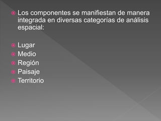  Los componentes se manifiestan de manera
integrada en diversas categorías de análisis
espacial:
Lugar
Medio
Región
Paisaje
Territorio