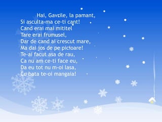 Hai, Gavrile, la pamant,
Si asculta-ma ce-ti cant!
Cand erai mai mititel
Tare erai frumusel,
Dar de cand ai crescut mare,
Ma dai jos de pe picioare!
Te-ai facut asa de rau,
Ca nu am ce-ti face eu,
Da eu tot nu m-oi lasa,
Cu bata te-oi mangaia!
 