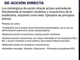DE ACCIÓN DIRECTA
Los colinérgicos de acción directa actúan estimulando
directamente al receptor nicotínico o muscarínico de la
acetilcolina, actuando como ésta. Ejemplos de principios
activos:
•Ésteres de colina
•Acetilcolina (es el propio neuro-transmisor parasimpático, por lo que su
administración potencia la acción parasimpática)
•Betanecol (acción muscarínica y escasa acción nicotínica)
•Carbacol (acción muscarínica, con mayor intensidad en los receptores M2 y
M3, y accíón nicotínica a nivel central y de la placa motora muscular)
•Metacolina (todos los receptores muscarínicos)
•Alcaloides naturales, •Nicotina, •Muscarina, •Pilocarpina (receptores M3)
 