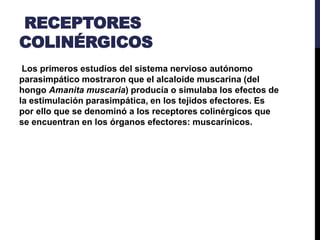 RECEPTORES
COLINÉRGICOS
Los primeros estudios del sistema nervioso autónomo
parasimpático mostraron que el alcaloide muscarina (del
hongo Amanita muscaria) producía o simulaba los efectos de
la estimulación parasimpática, en los tejidos efectores. Es
por ello que se denominó a los receptores colinérgicos que
se encuentran en los órganos efectores: muscarínicos.
 
