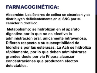 FARMACOCINÉTICA:
Absorción: Los ésteres de colina se absorben y se
distribuyen deficientemente en el SNC por su
carácter hidrofílico.
Metabolismo: se hidrolizan en el aparato
digestivo por lo que no es efectiva la
administración oral, únicamente intravenosa.
Difieren respecto a su susceptibilidad de
hidrólisis por las esterasas. La Ach se hidroliza
rápidamente, por lo que deben administrarse
grandes dosis por vía IV para alcanzar
concentraciones que produzcan efectos
detectables.
 