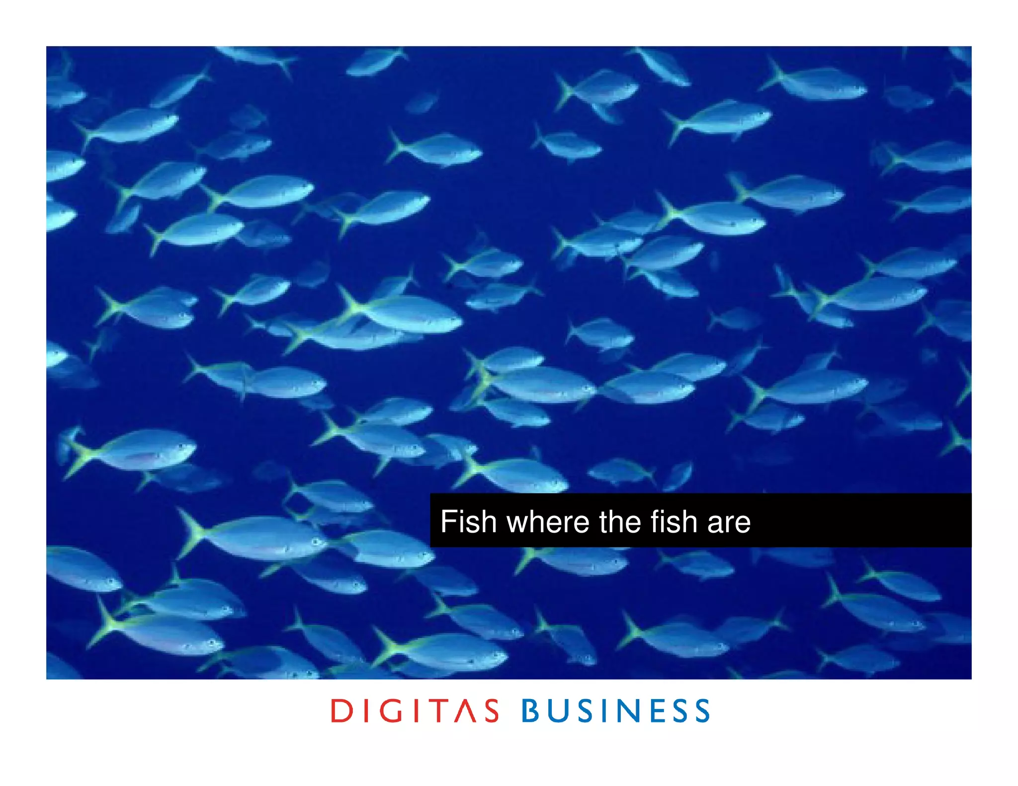 Fish where the fish are
 