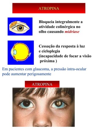ATROPINAATROPINA
Bloqueia integralmente a
atividade colinérgica no
olho causando midríase
Cessação da resposta à luz
e cicloplegia
(incapacidade de focar a visão
próxima )
Em pacientes com glaucoma, a pressão intra-ocular 
pode aumentar perigosamente
ATROPINAATROPINA
 