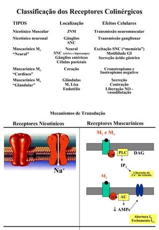 Classificação dos Receptores Colinérgicos
Mecanismos de Transdução
TIPOS Localização Efeitos Celulares
Nicotínico Muscular JNM Transmissão neuromuscular
Nicotínico neuronal Gânglios
SNC
Transmissão ganglionar
Muscarínico M1
“Neural”
Neural
SNC (córtex e hipocampo)
Gânglios entéricos
Células parietais
Excitação SNC (“memória”)
Motilidade GI
Secreção ácido gástrico
Muscarínico M2
“Cardíaco”
Coração Cronotropismo e
Inotropismo negativo
Muscarínico M3
“Glandular”
Glândulas
M, Lisa
Endotélio
Secreção
Contração
Liberação NO -
vasodilatação
Gq PLC
IP3
Liberação de
Ca++
do retículo
DAG
M1 e M3
Gi/o AC
↓ AMPc
Abertura IK
Fechamento ICa
M2
Receptores MuscarínicosReceptores Nicotínicos
Na+
 