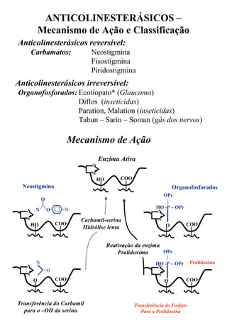 ANTICOLINESTERÁSICOS –
Mecanismo de Ação e Classificação
Anticolinesterásicos reversível:
Carbamatos: Neostigmina
Fisostigmina
Piridostigmina
Anticolinesterásicos irreversível:
Organofosforados: Ecotiopato* (Glaucoma)
Diflos (inseticidas)
Paration, Malation (inseticidas)
Tabun – Sarin – Soman (gás dos nervos)
Mecanismo de Ação
COO-
HO
N
N
COO-
HO
N
N
COO-
O
N
N
COO-
O
N
N
COO-
O
N
N
Enzima Ativa
N+
O
ON
N
=O
Transferência do Carbamil
para o –OH da serina
Neostigmina
OPr
|
HO -P – OPr
OPr
|
HO -P – OPr
Organofosforados
Pralidoxina
Transferência do Fosfato
Para a Pralidoxina
Carbamil-serina
Hidrólise lenta
Reativação da enzima
Pralidoxima
 