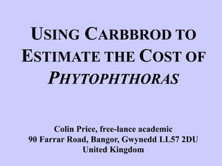 USING CARBBROD TO
ESTIMATE THE COST OF
PHYTOPHTHORAS
Colin Price, free-lance academic
90 Farrar Road, Bangor, Gwynedd LL57 2DU
United Kingdom
 
