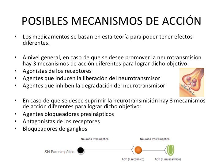 Como ocuparse con la muchacha si a ti el pequeño miembro