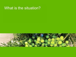 What is the situation?
 