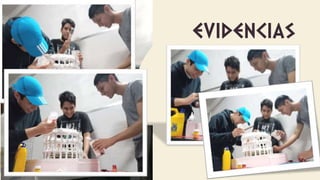 evidencias
 