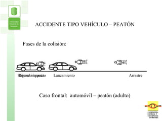 ACCIDENTE TIPO VEHÍCULO – PEATÓN Fases de la colisión: Caso frontal:  automóvil – peatón (adulto) Arrastre Primer impacto Segundo impacto Lanzamiento 