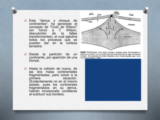 O Esta "deriva y choque de
continentes", ha generado el
concepto de "Ciclo de Wilson"
(en honor a T. Wilson,
descubridor de la fallas
transformantes), el cual aglutina
todos los procesos que se
pueden dar en la corteza
terrestre:
O Desde la partición de un
continente, por aparición de una
Dorsal.
O Hasta la colisión de nuevo, de
las dos masa continentales
fragmentadas, para volver a la
primera situación.
(Evidentemente no en el mismo
estado, pues los continentes
fragmentados en su deriva,
habrán incorporado cordilleras
al subducir sus bordes).
 