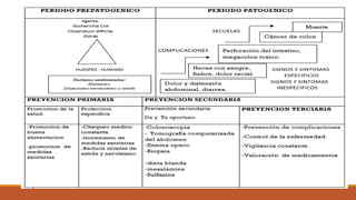 Colitis ulcerativa y nerviosa