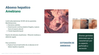 Lorem ipsum dolor sit
amet, consectetur
adipiscing elit.
Donec quis erat et.
Úlceras genitales
dolorosas que se
caracterizan por
su aspecto
perforado y
secreción
EXTENSIÓN DE
AMEBOSIS
02
Lesión pleuroplumonar 20-30% de los pacientes
Manifestaciones:
Derrames estériles
Diseminación continua desde el hígado y ruptura
hacia el espacio pleural
Fístula hepatobronquial
Ruptura de absceso al peritoneo = filtración insidiosa o
abdomen agudo
Peor pronóstico:
Ruptura hacia el pericardio de un absceso en el
lóbulo hepático izquierdo
Abseso hepatico
Amebiano
Longo, D., & Fauci, A. S. (2013). Harrison’s Gastroenterology and Hepatology (2a ed.). McGraw-Hill Medical.
 