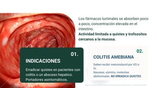Erradicar quistes en pacientes con
colitis o un absceso hepatico.
Portadores asintomáticos.
INDICACIONES
01.
Deben recibir metronidazol por VO o
IV.
Nauseas, vómitos, molestias
abdominales. NO ERRADICA QUISTES.
COLITIS AMEBIANA
02.
Los fármacos luminales se absorben poco
a poco, concentración elevada en el
intestino.
Actividad limitada a quistes y trofozoitos
cercanos a la mucosa.
Longo, D., & Fauci, A. S. (2013). Harrison’s Gastroenterology and Hepatology (2a ed.). McGraw-Hill Medical.
 
