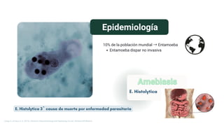 Epidemiología
10% de la población mundial → Entamoeba
Entamoeba dispar no invasiva
E. Histolytica
Amebiasis
Amebiasis
Longo, D., & Fauci, A. S. (2013). Harrison’s Gastroenterology and Hepatology (2a ed.). McGraw-Hill Medical.
E. Histolytica 3º causa de muerte por enfermedad parasitaria
 