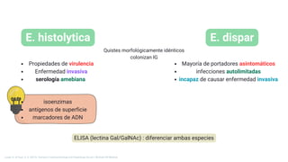 E. histolytica
Quistes morfológicamente idénticos
colonizan IG
E. dispar
isoenzimas
antígenos de superficie
marcadores de ADN
Mayoría de portadores asintomáticos
infecciones autolimitadas
incapaz de causar enfermedad invasiva
Propiedades de virulencia
Enfermedad invasiva
serología amebiana
ELISA (lectina Gal/GalNAc) : diferenciar ambas especies
Longo, D., & Fauci, A. S. (2013). Harrison’s Gastroenterology and Hepatology (2a ed.). McGraw-Hill Medical.
 