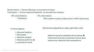Quiste maduro → forma infecciosa, se encuentra en heces
Trofozoitos → forma invasiva del parásito - se encuentra en intestino
90% asintomáticos
Portadores
10% sintomáticos
99% invaden mucosa y submucosa = colitis submucosa
1% otros órganos
Absceso hepático
Pericarditis
Absceso cerebral
Absceso pulmonar 🫁.
Lesiones en la piel
Ulceraciones pequeñas en ciego, sigmoides, recto
Material necrótico alrededor de las úlceras ✚
inflamación leve que se extiende mucosa de la
submucosa, alteración de la arquitectura
Longo, D., & Fauci, A. S. (2013). Harrison’s Gastroenterology and Hepatology (2a ed.). McGraw-Hill Medical.
 