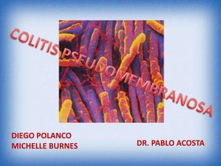 DIEGO POLANCO
MICHELLE BURNES   DR. PABLO ACOSTA
 