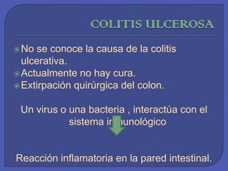 COLITIS ULCEROSANo se conoce la causa de la colitis ulcerativa.Actualmente no hay cura.Extirpación quirúrgica del colon. Un virus o una bacteria , interactúa con el sistema inmunológico Reacción inflamatoria en la pared intestinal.