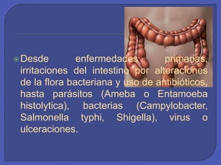 Desde enfermedades primarias, irritaciones del intestino por alteraciones de la flora bacteriana y uso de antibióticos, hasta parásitos (Ameba o Entamoebahistolytica), bacterias (Campylobacter, Salmonella typhi, Shigella), virus o ulceraciones. 
