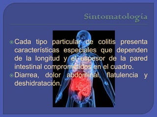 SintomatologíaCada tipo particular de colitis presenta características especiales que dependen de la longitud y el espesor de la pared intestinal comprometidos en el cuadro. Diarrea, dolor abdominal, flatulencia y deshidratación.
