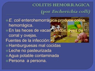 Colitis por ClostridiumdifficileSIGNOS Y SINTOMASDiarrea acuosaFiebreDolor abdominalNausea con o sin vomito.Perdida de peso.