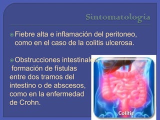 SintomatologíaFiebre alta e inflamación del peritoneo, como en el caso de la colitis ulcerosa. Obstrucciones intestinales, formación de fístulas entre dos tramos del intestino o de abscesos, como en la enfermedad de Crohn.