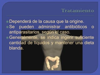TratamientoDependerá de la causa que la origine.Se pueden administrar antibióticos o antiparasitarios, según el caso. Generalmente, se indica ingerir suficiente cantidad de líquidos y mantener una dieta blanda. 