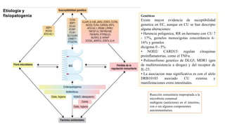 Reacción inmunitaria inapropiada a la
microbiota comensal
endógena (autóctona) en el intestino,
con o sin algunos componentes
autoinmunitarios.
Genéticos
Existe mayor evidencia de suceptibilidad
genetica en EC, aunque en CU se han descripto
alguna alteraciones:
• Herencia poligenica, RR en hermano con CU 7
- 17%, gemelos monocigotas concordancia 6–
16% y gemelos
dicigotas 0 - 5%.
• NOD2/ CARD15: regulan citoquinas
proinflamatorias, como el TNFα.
• Polimorfismo genetico de DLG5, MDR1 (gen
de multirresistencia a drogas) y del receptor de
IL-23.
• La asociacion mas significativa es con el alelo
DRB10103 asociado CU extensa y
manifestaciones extra intestinales.
Etiología y
fisiopatogenia
 