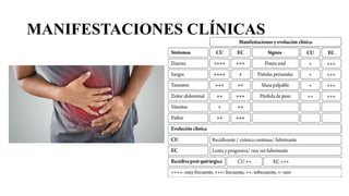 MANIFESTACIONES CLÍNICAS
 