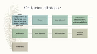 Criterios clínicos.-
más
característico es
la diarrea con
sangre, aunque
no está siempre
presente.
fiebre dolor abdominal
síndrome rectal
(tenesmo, urgencia
deposicional y esputo
rectal de sangre y moco)
estreñimiento dolor abdominal extraintestinales
Articulares
Artralgias
cutáneas
 