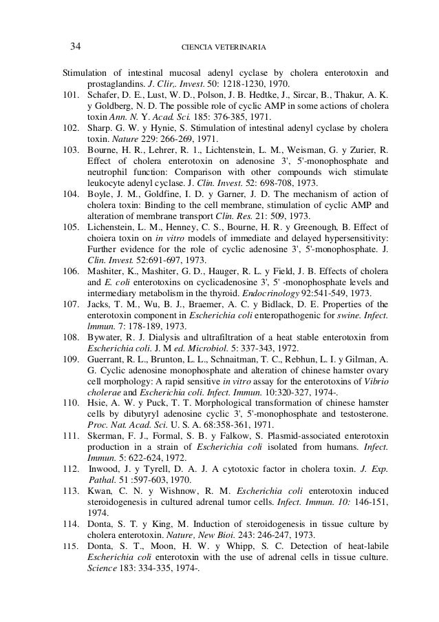 download el concepto de validez y otros ensayos