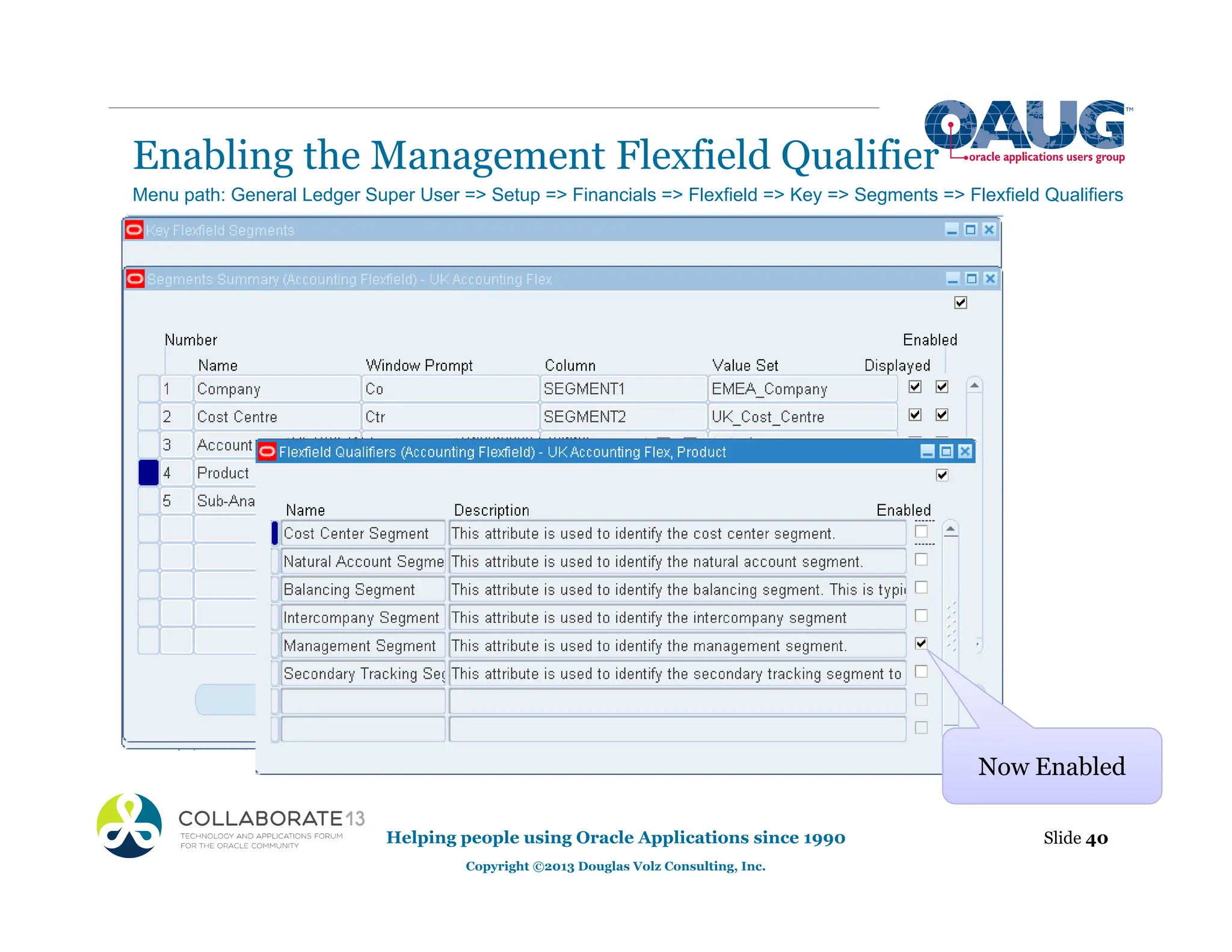 Enabling the Management Flexfield Qualifier
Slide 40
Helping people using Oracle Applications since 1990
Copyright ©2013 Douglas Volz Consulting, Inc.
Menu path: General Ledger Super User => Setup => Financials => Flexfield => Key => Segments => Flexfield Qualifiers
Now Enabled
 