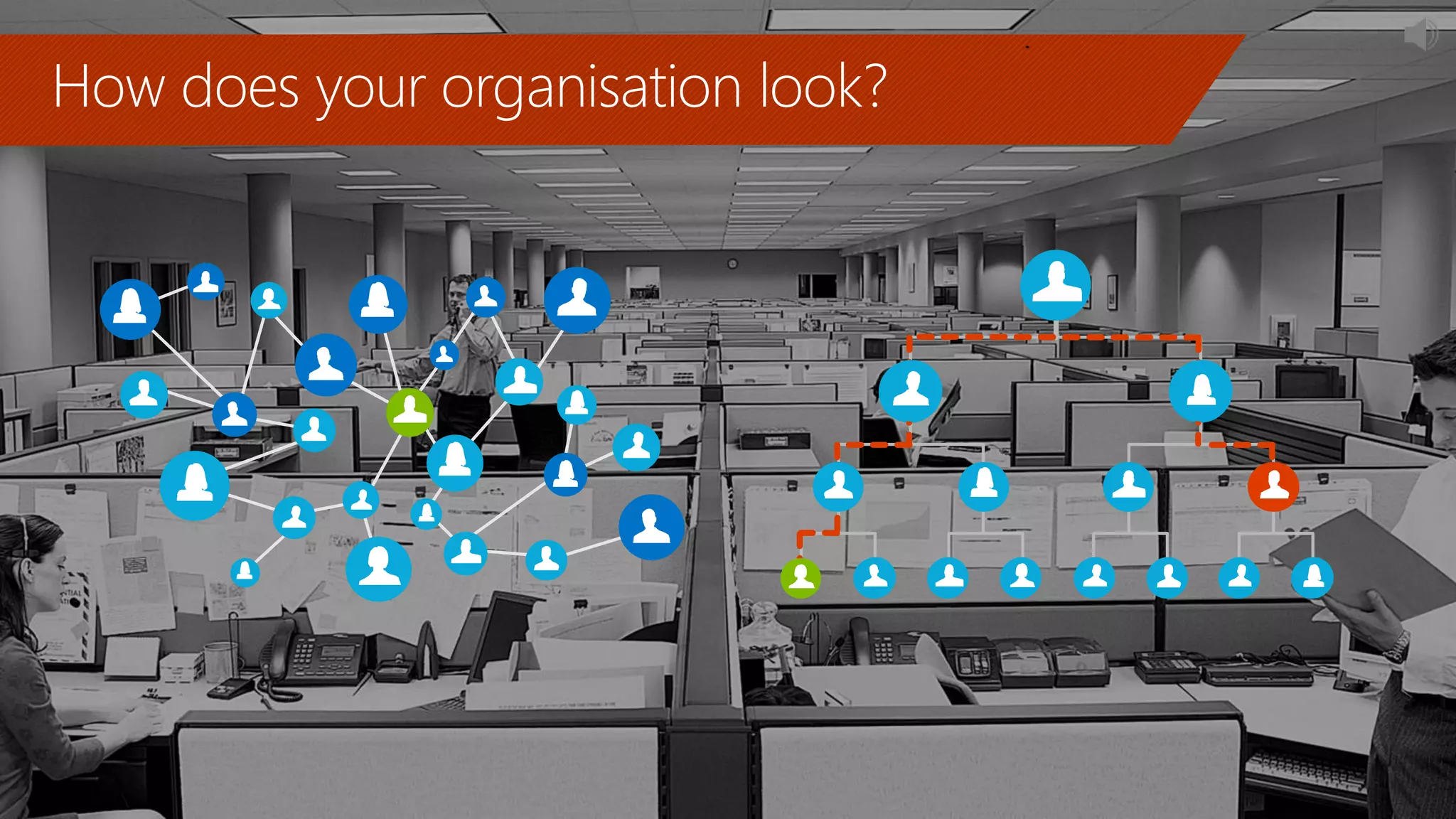 How does your organisation look?
 