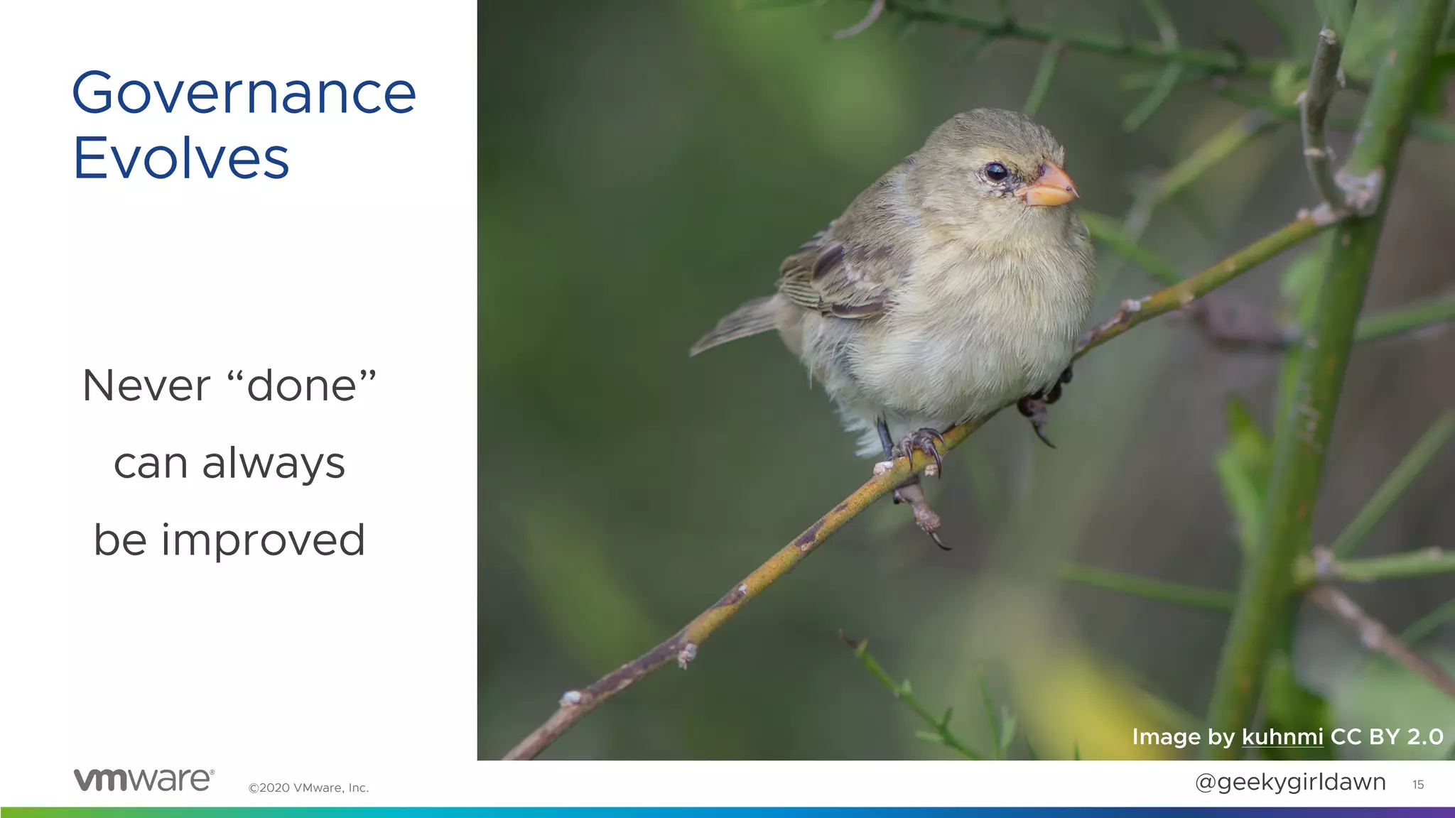 ©2020 VMware, Inc. @geekygirldawn
Never “done”
can always
be improved
15
Governance
Evolves
Image by kuhnmi CC BY 2.0
 
