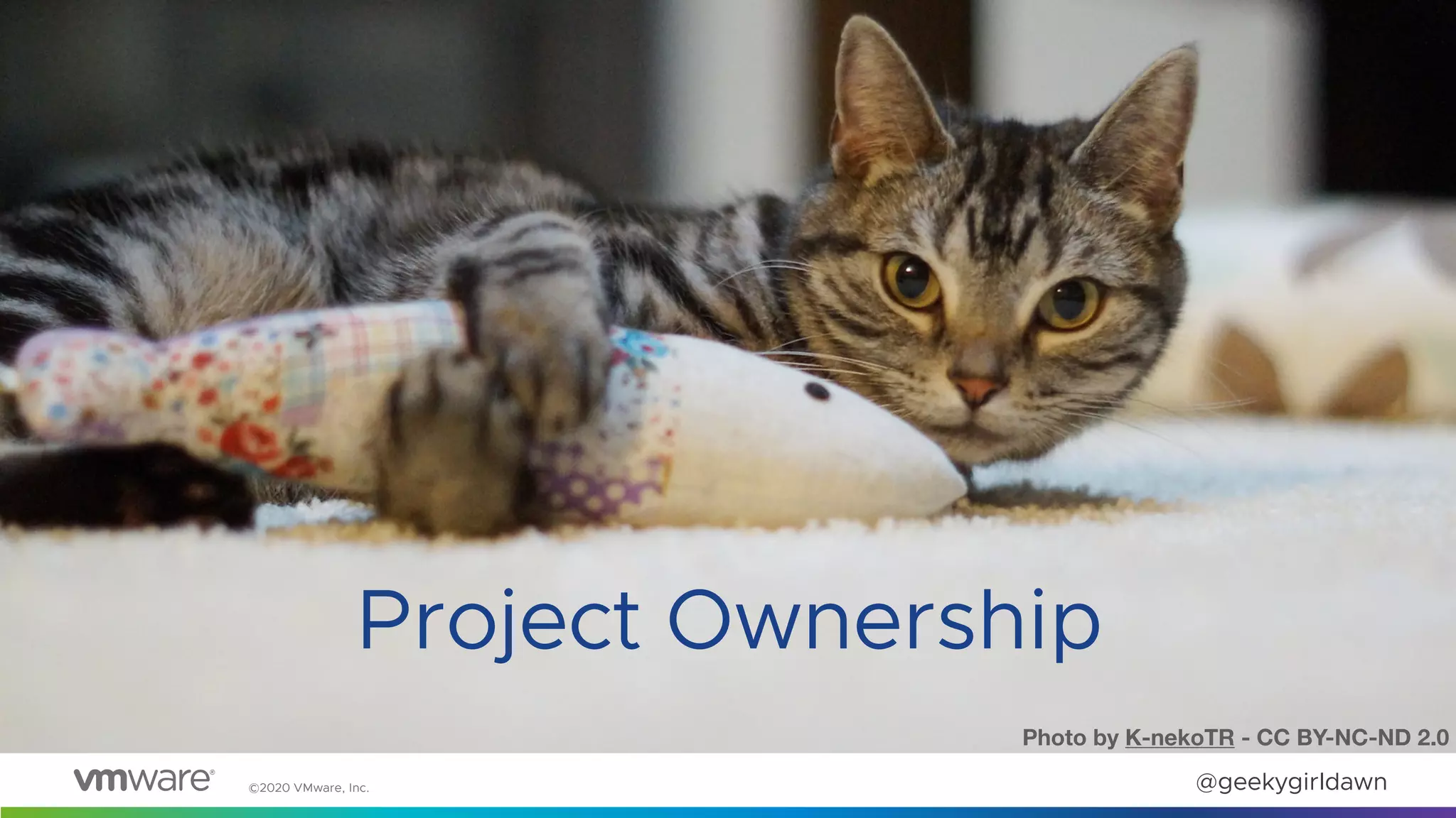 ©2020 VMware, Inc. @geekygirldawn
Project Ownership
Photo by K-nekoTR - CC BY-NC-ND 2.0
 