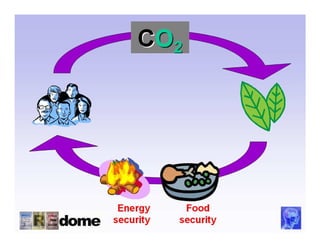 CO2




 Energy     Food
security   security
 