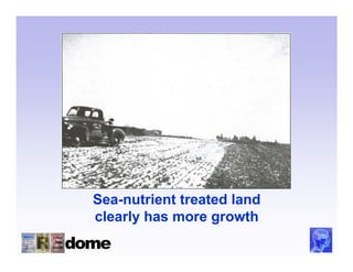 Sea-nutrient treated land
clearly has more growth
 