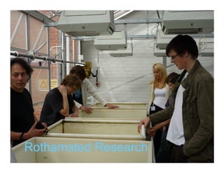 Rothamsted Research
 
