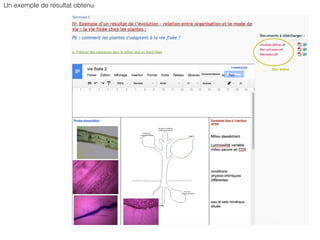 Un exemple de résultat obtenu
 